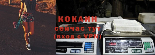 прущие грибы Богданович