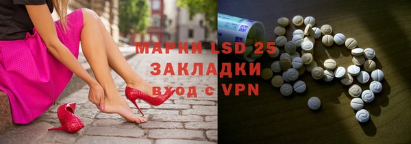прущие грибы Богданович