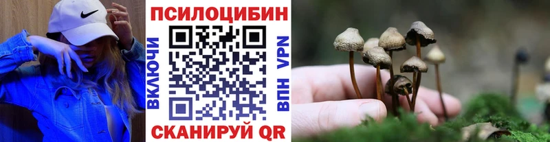 kraken ССЫЛКА  Белогорск  Галлюциногенные грибы Psilocybe  закладки 